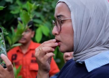 Salah seorang pengunjung sedang mencicip buah ajaib. (Foto: Biro Komunikasi Kementrian Pariwisata)